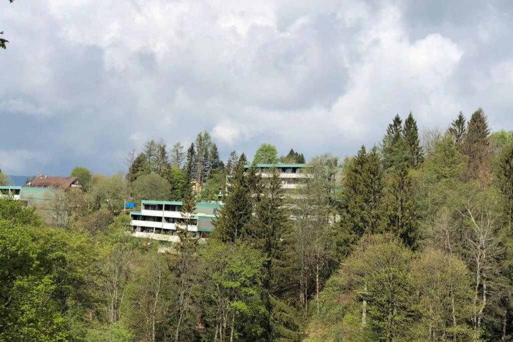 Apartment Harzblick -Neu Modernisiert- Sankt Andreasberg Exterior photo